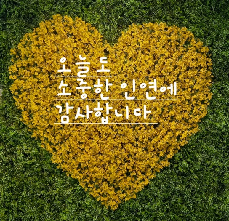 자올하우스 이미지