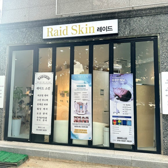 Raid Skin 이미지