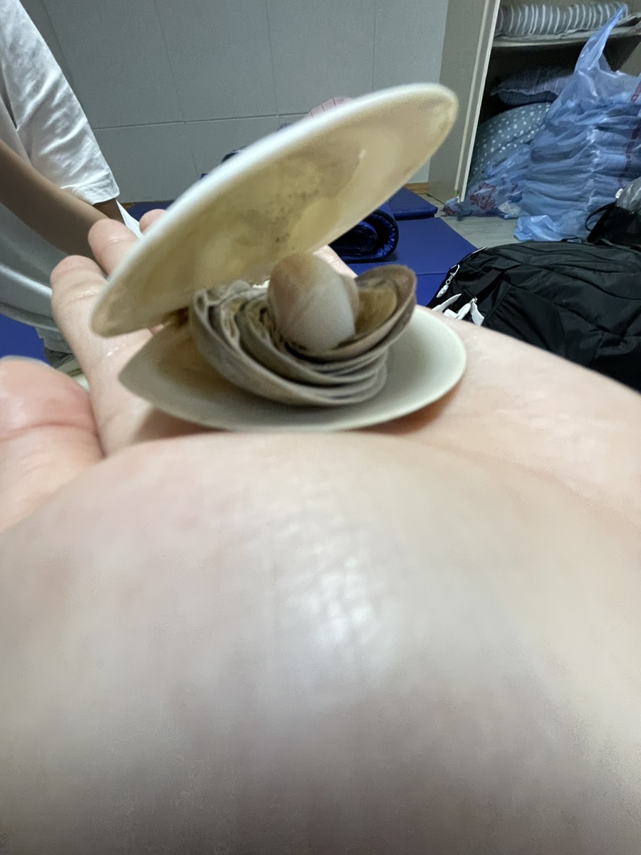 주은콜렉션 이미지
