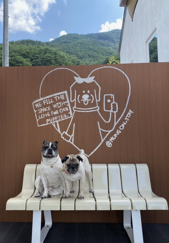 멍온스테이 이미지