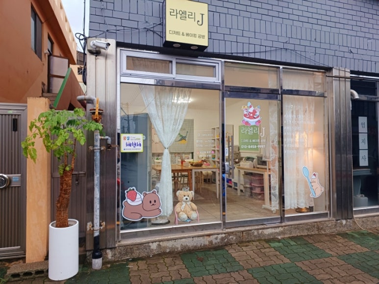 라엘리J 이미지