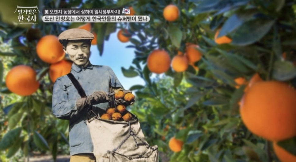 오렌지직업소개소 이미지