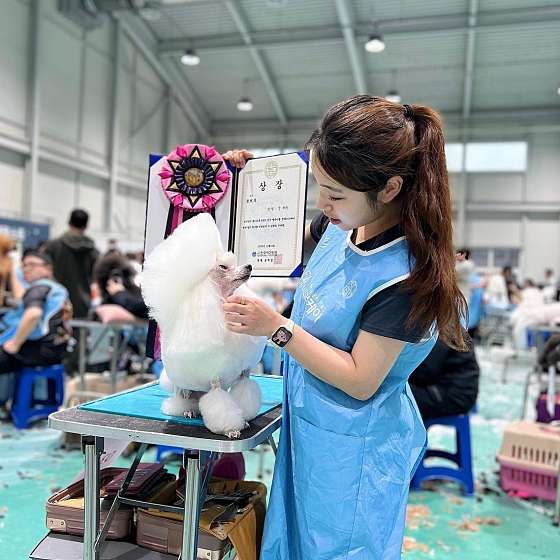 대전애견미용학원 이미지