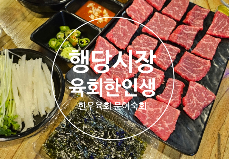 육회한인생 이미지