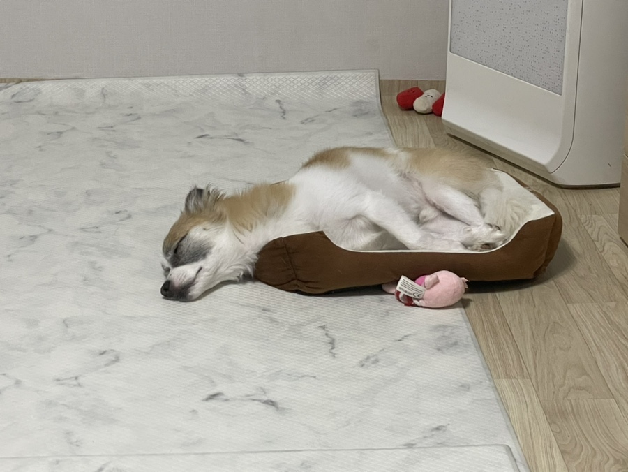 작디작은 집 이미지