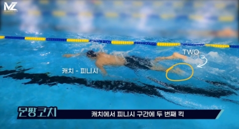스웜프커피 이미지