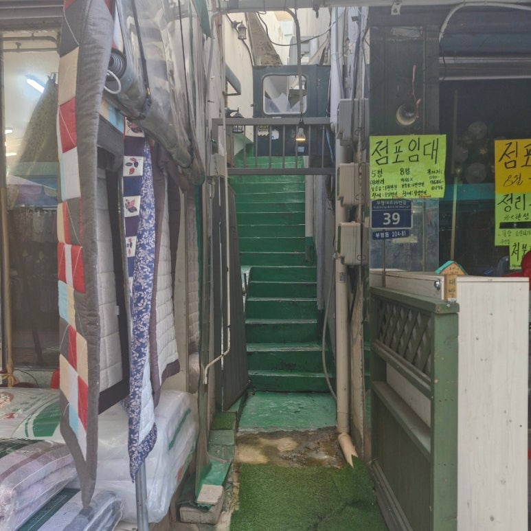 수복혼수 이미지