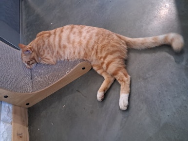 달봉이민박 이미지