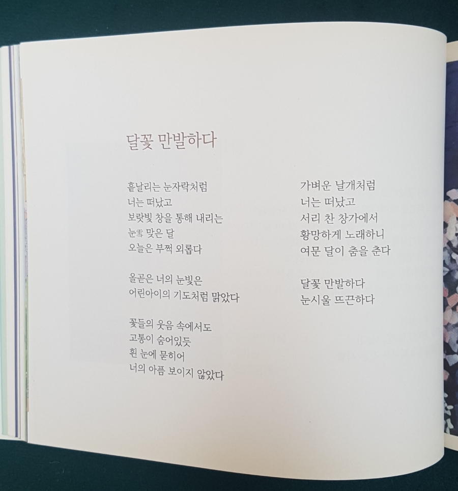 꽃붓캘리 이미지