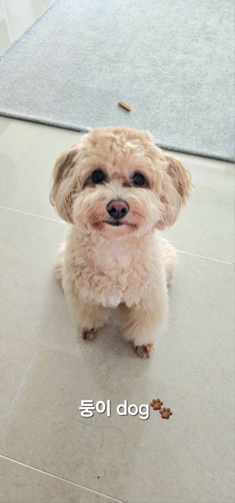 웅이네 온라인 이미지