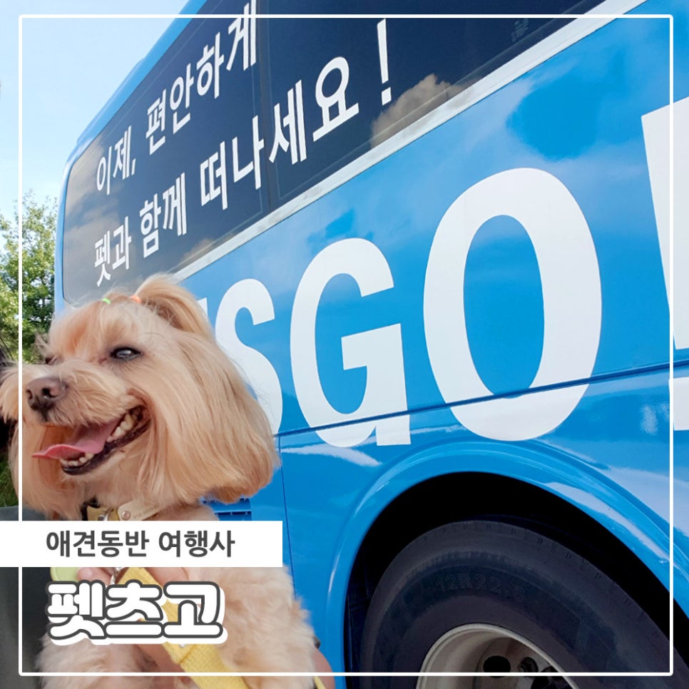 트래블고 여행사 이미지