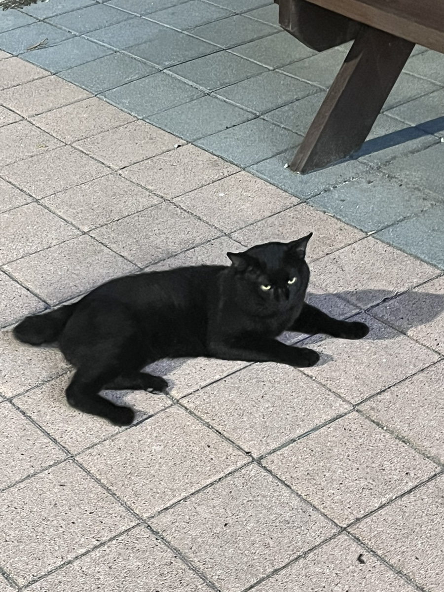 고기마켓트 이미지