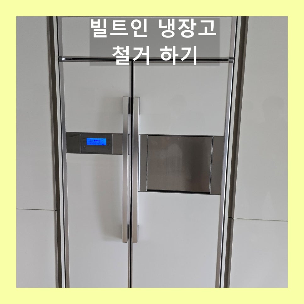 데이비드리페어 이미지