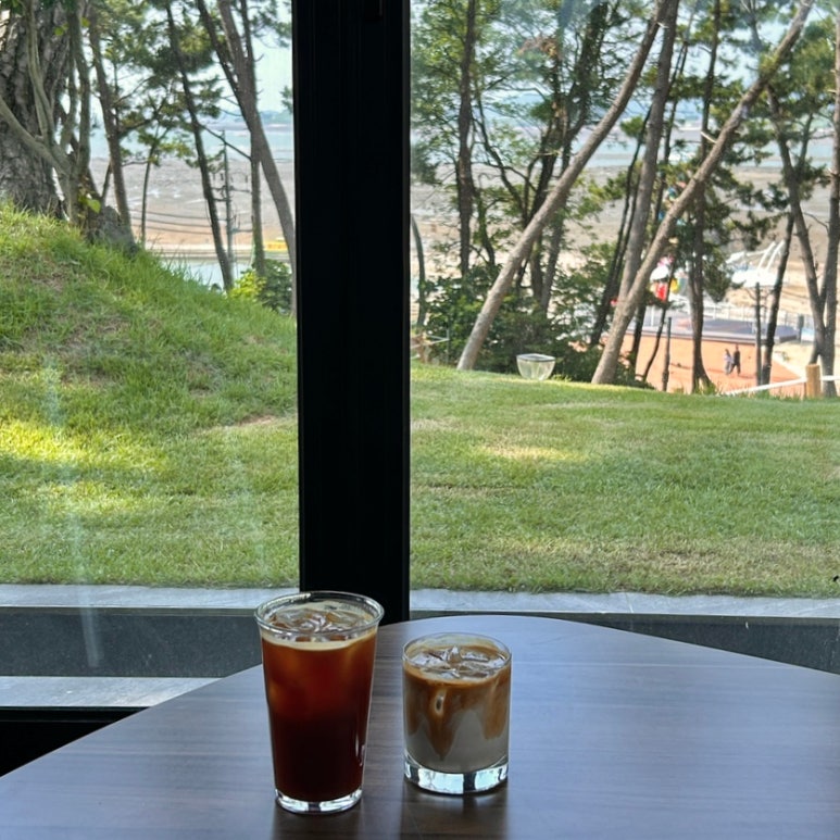 돌마레690 이미지
