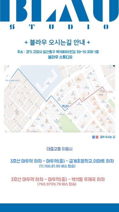BLAU(블라우) 이미지