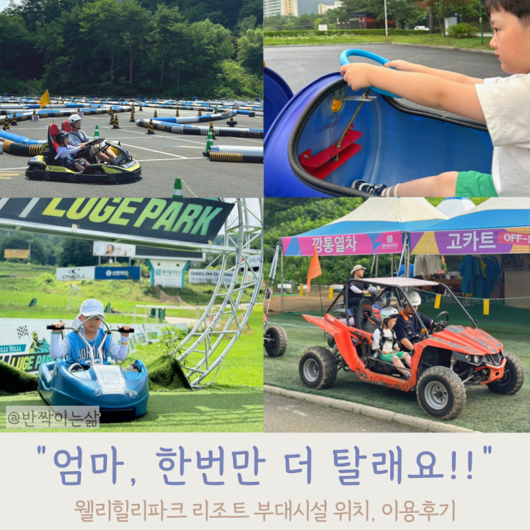 웰리힐리파크 루지파크 이미지