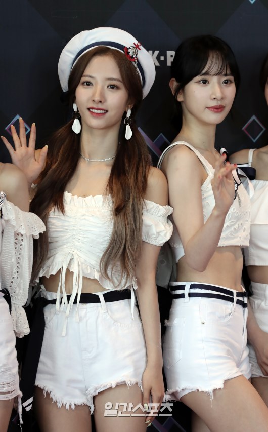 보나 이미지