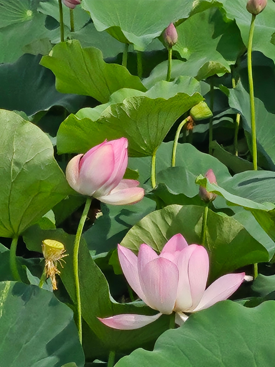 환희네집 이미지