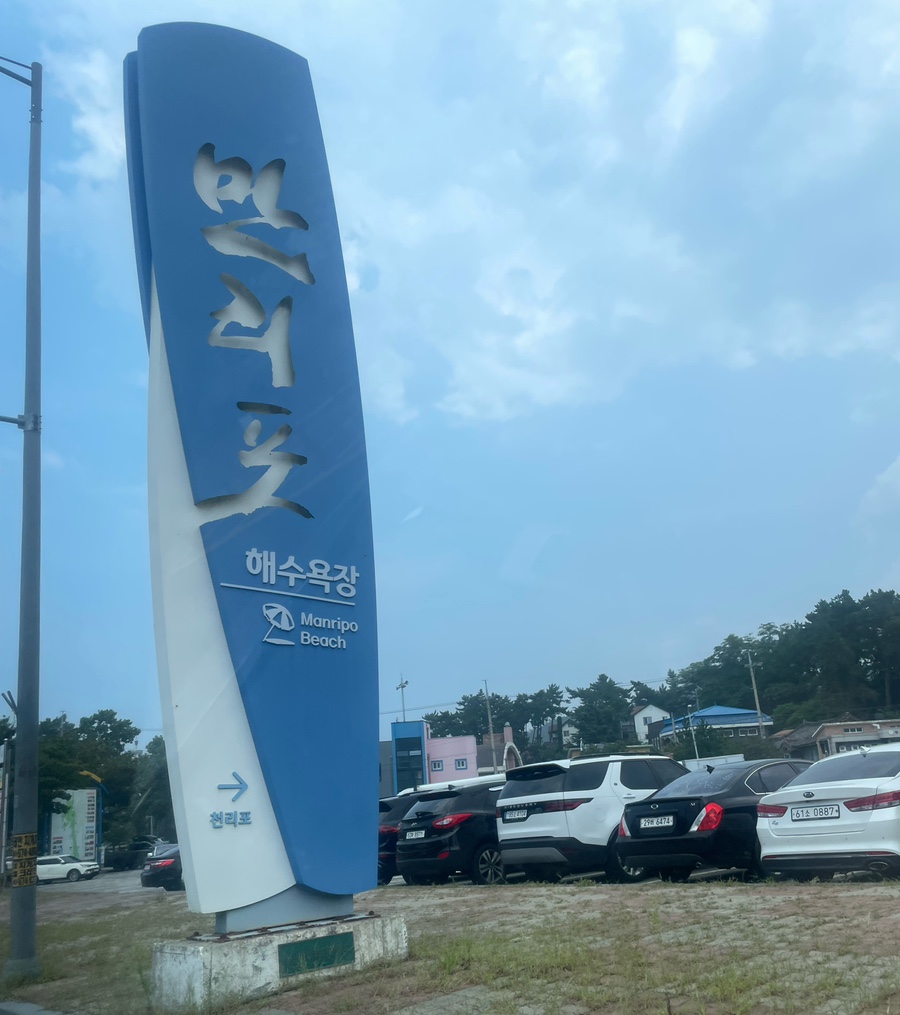 엠엘피 이미지