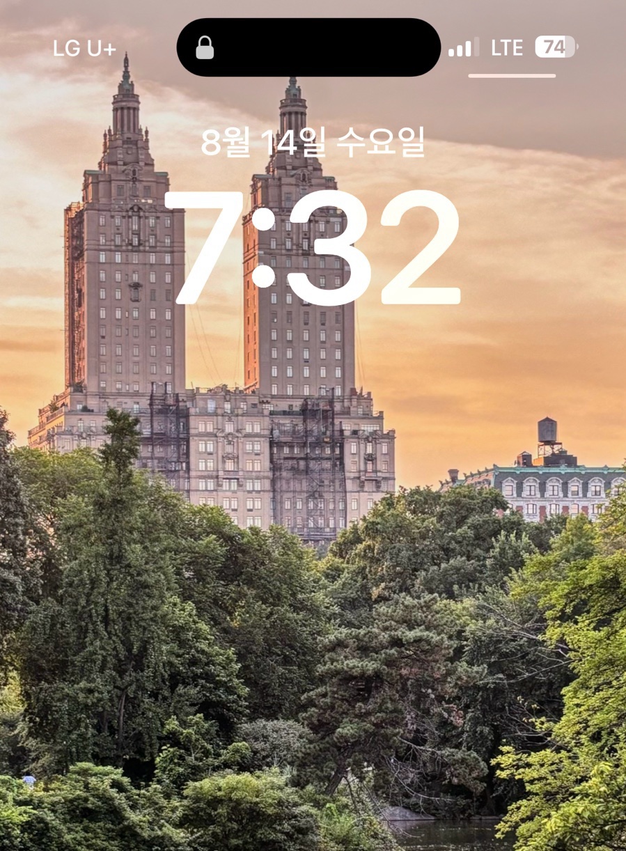 강남소관 이미지