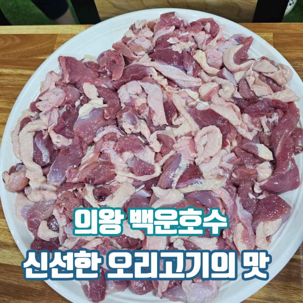 산닭오리불놀이 이미지
