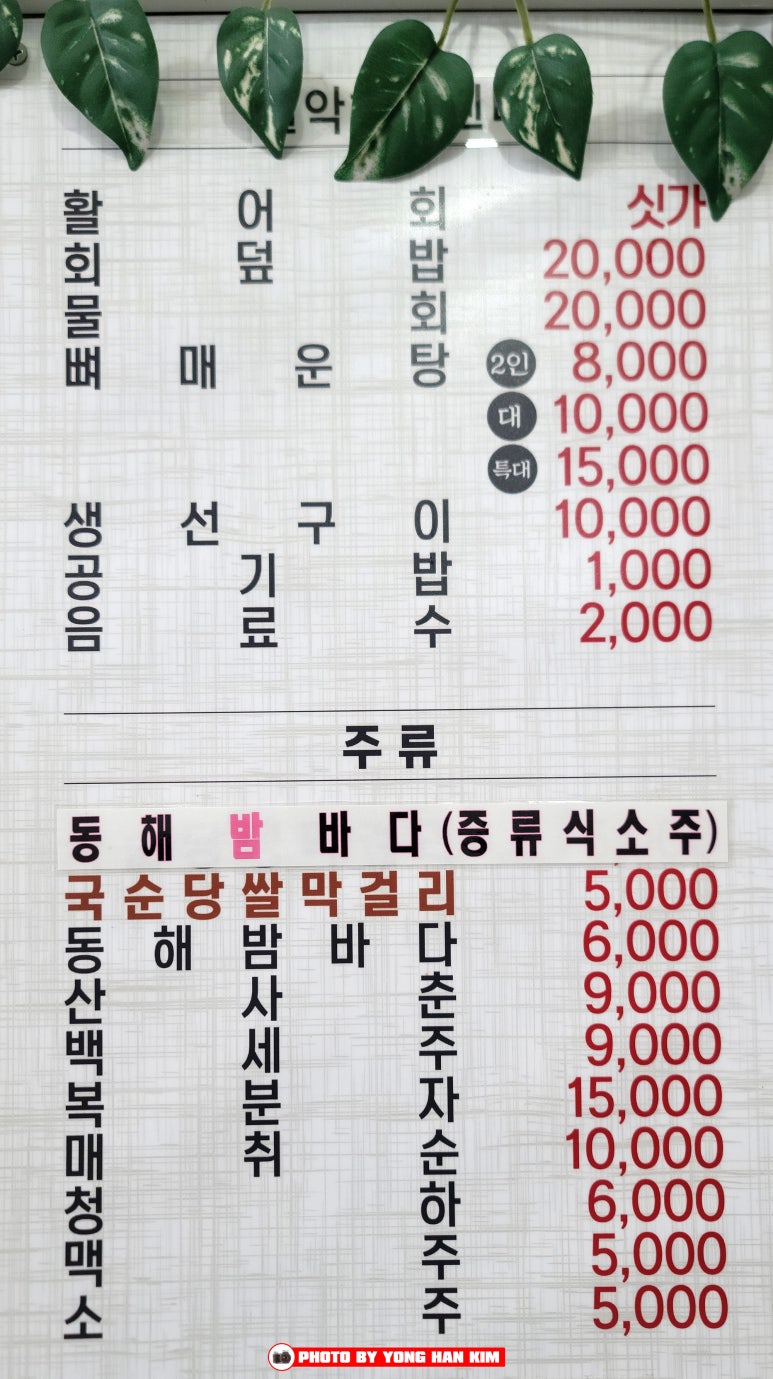 포진활어 이미지