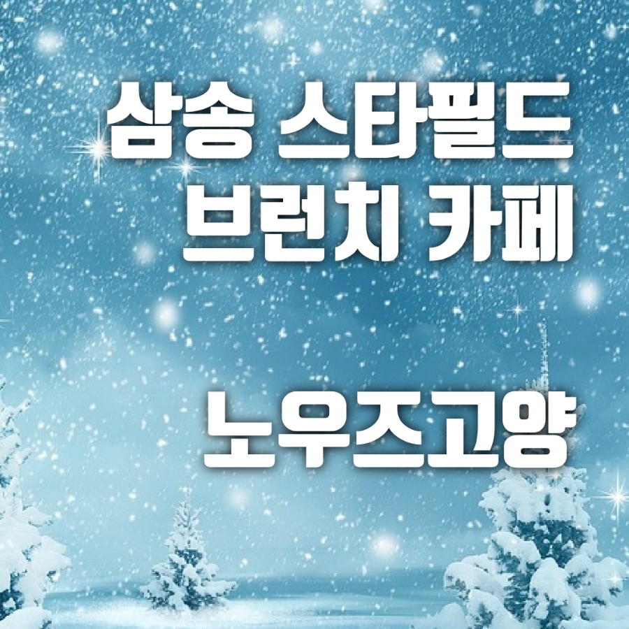 노우즈고양 이미지