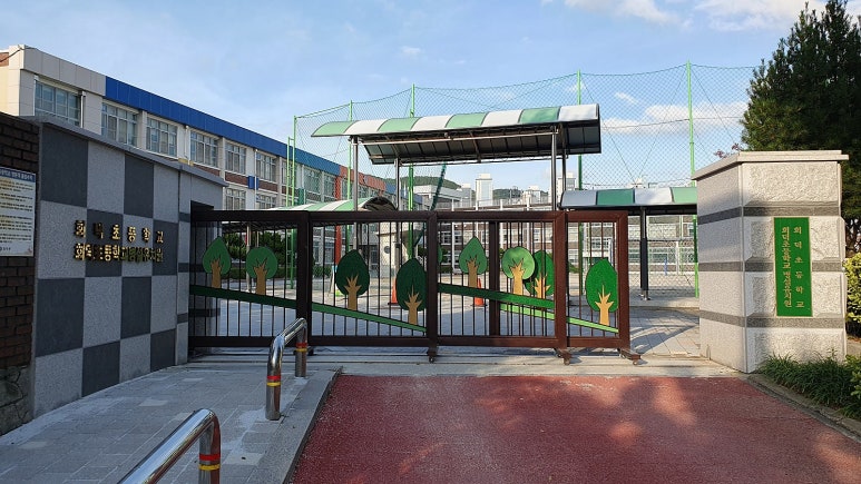 회덕초등학교 이미지
