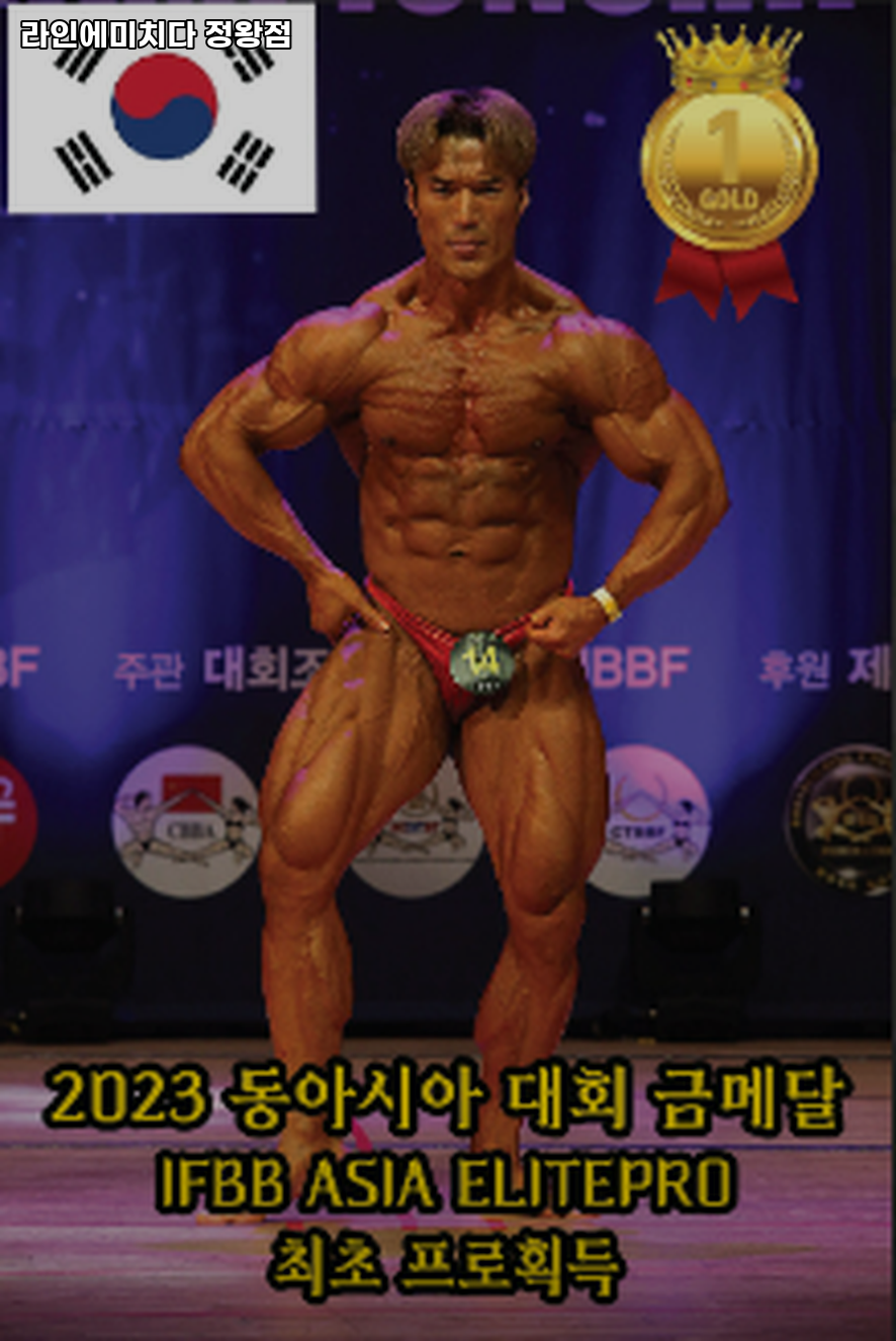 라인에미치다 이미지