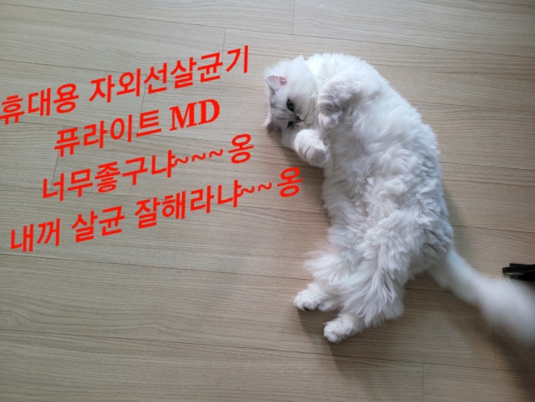 (주)퓨라이트 이미지