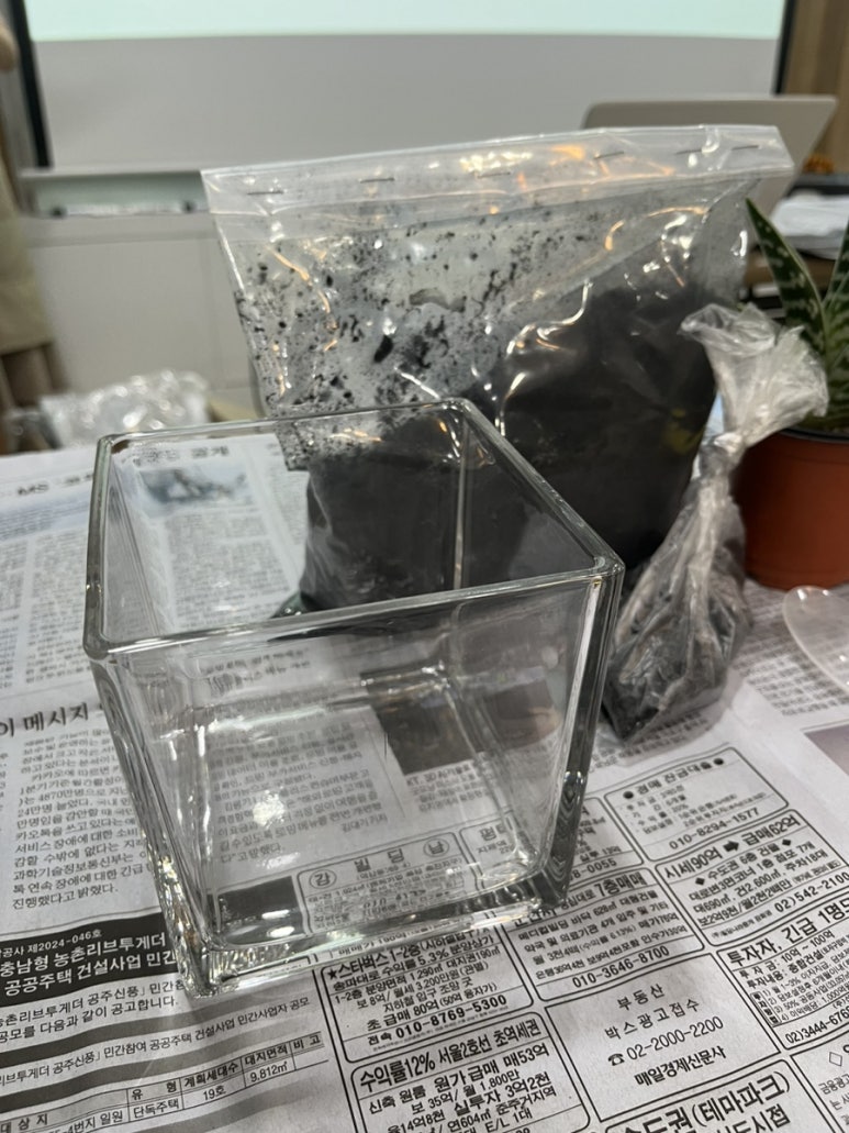 에이지트 사진 2