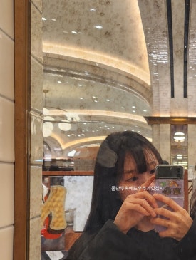 비스퀴테리엠오 이미지