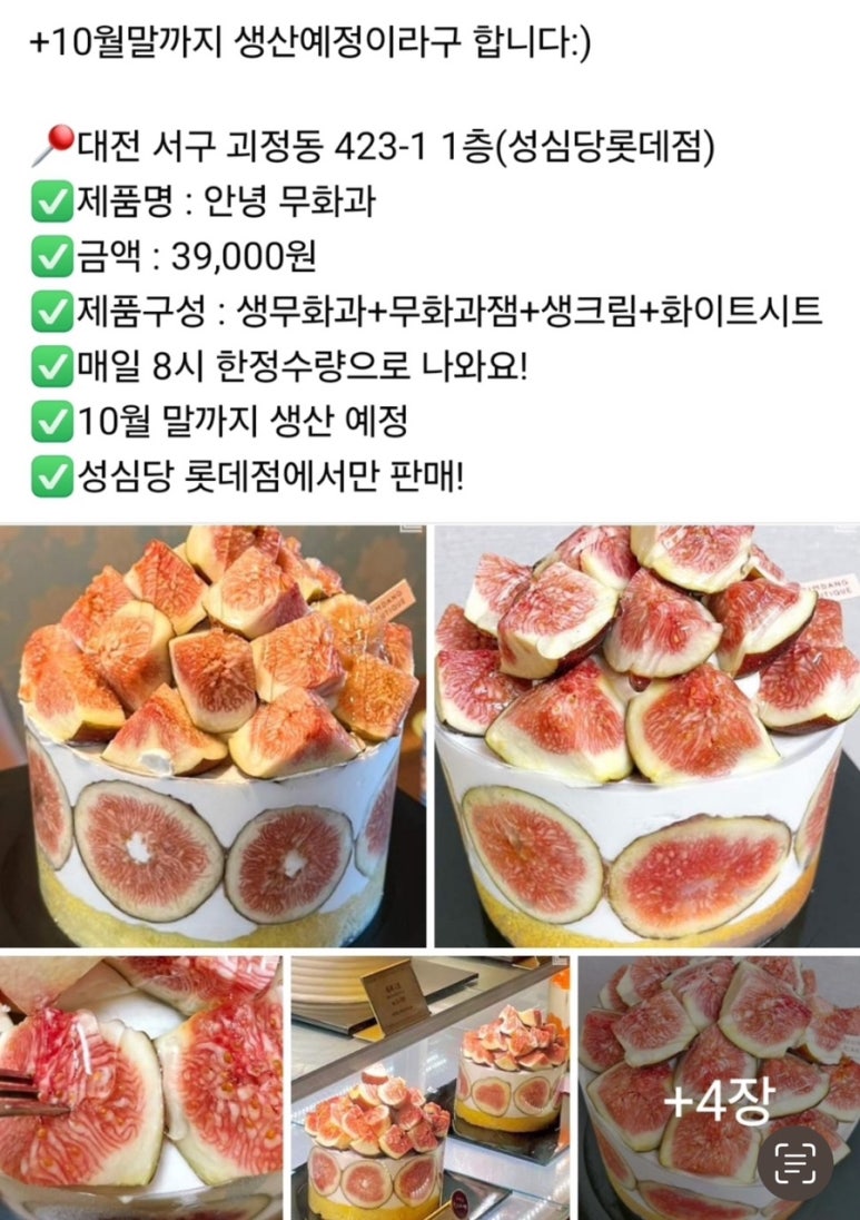 브라더킹 이미지