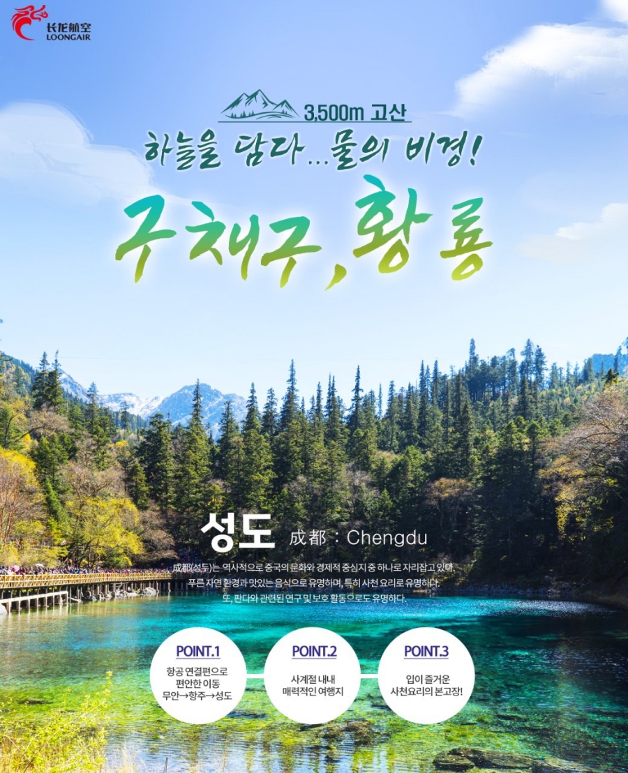 천지항공여행사 이미지