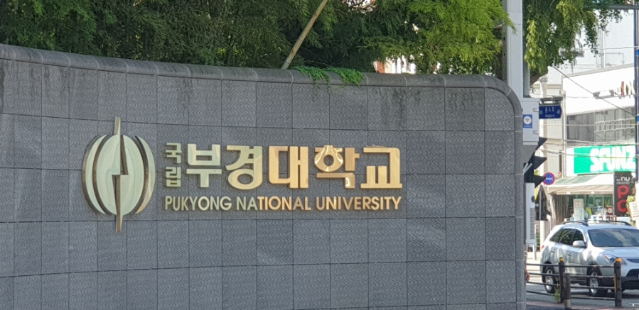 부경렌트카 이미지