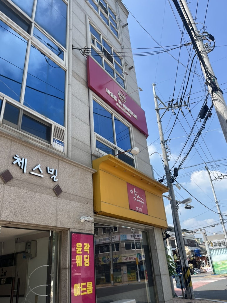 미고기미 이미지