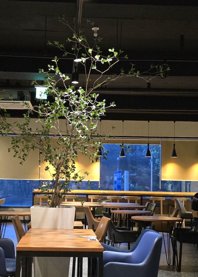 참만나 이미지