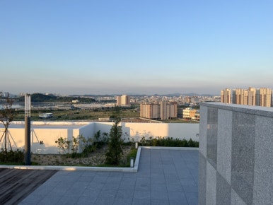 홍단팥거북섬점 이미지
