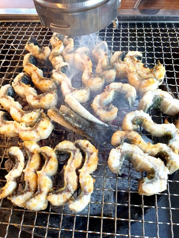 신화장어 이미지