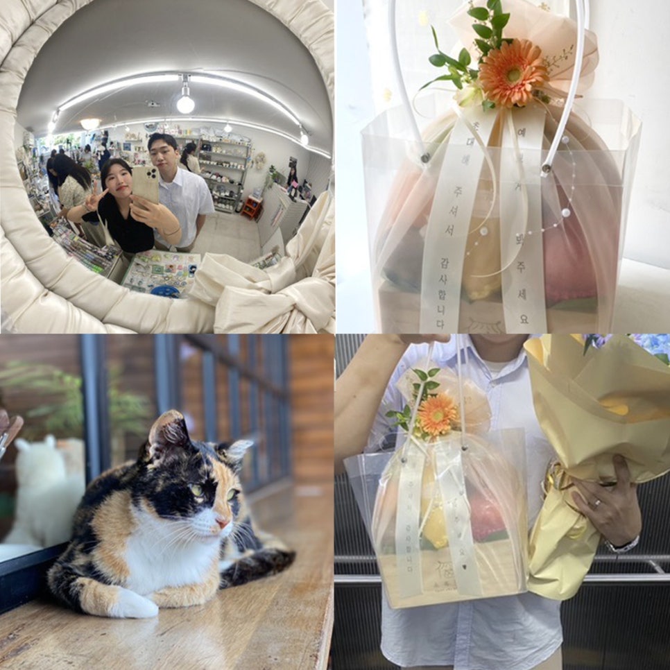 부부청과 이미지