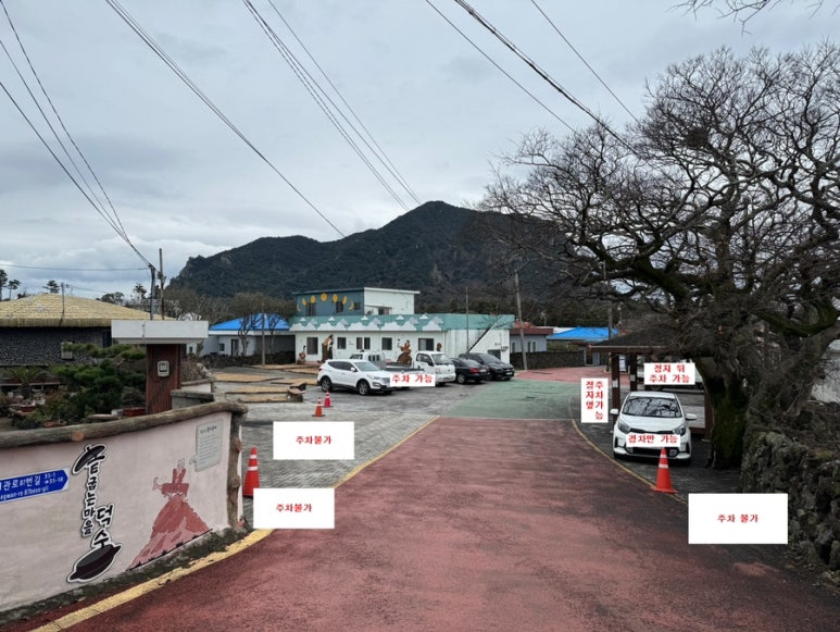 제주도조용한게스트하우스산방산점 이미지