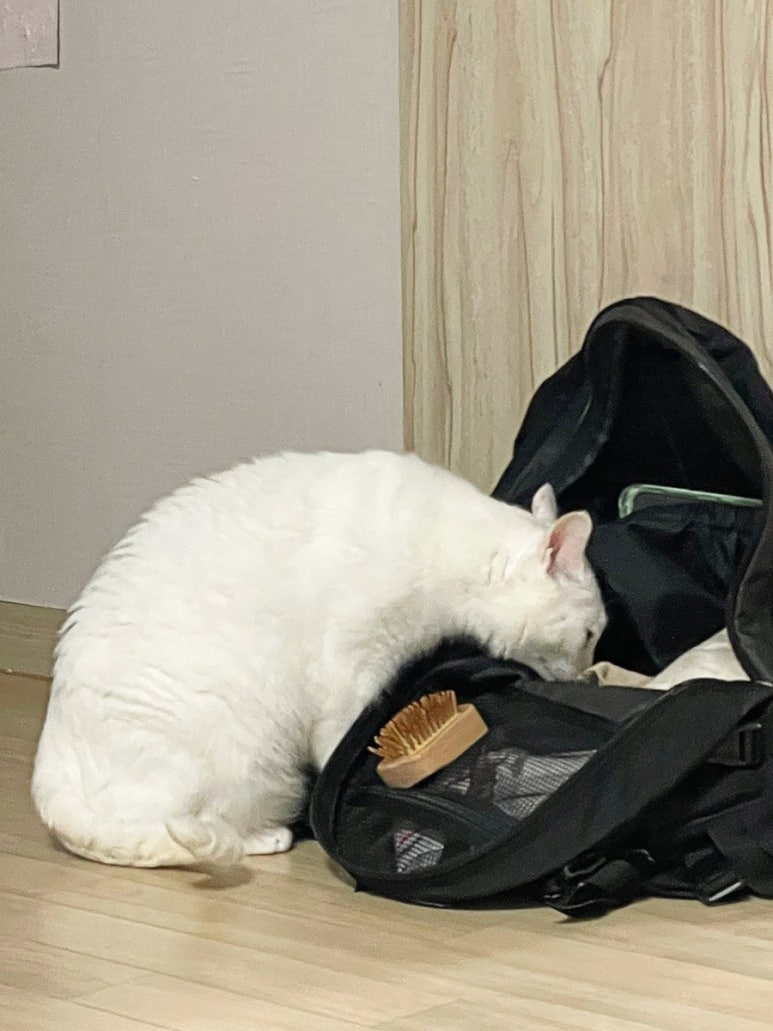 인생아구찜 서창점 이미지