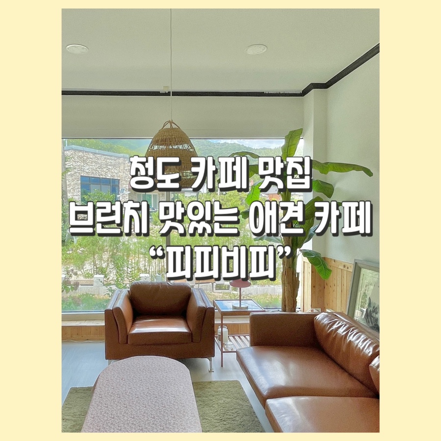피피비피 이미지