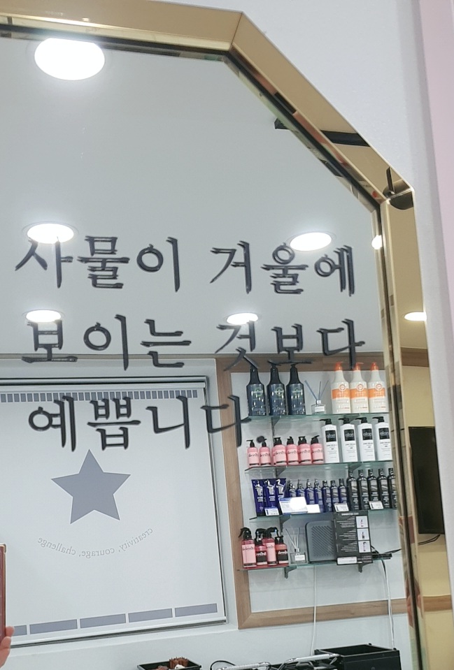 파라팜 이미지