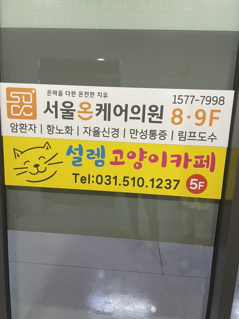 설렘고양이카페 이미지