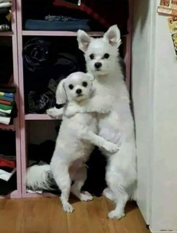 골든타임이스케이프 이미지