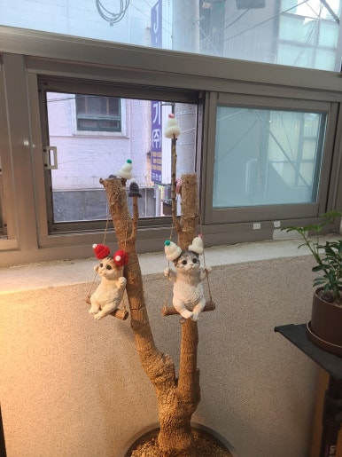 콘체르트보눔 이미지