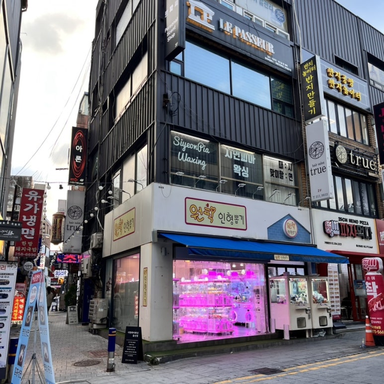 시연피아 이미지