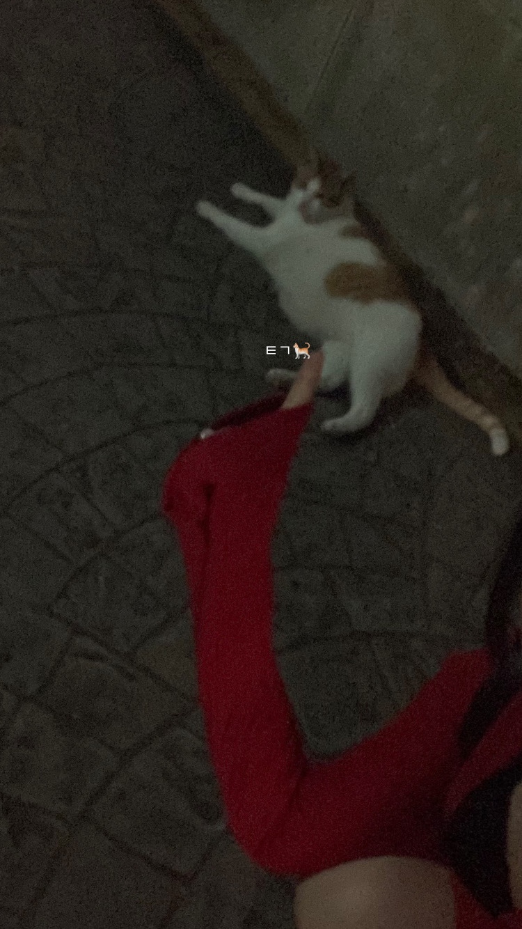 파리바게뜨한티역점 이미지