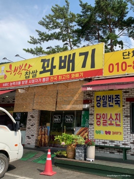 그때그꽈배기 이미지